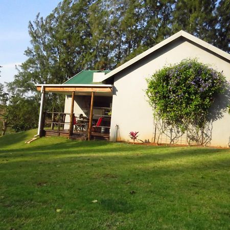 Eden Cottage وايت ريفر المظهر الخارجي الصورة