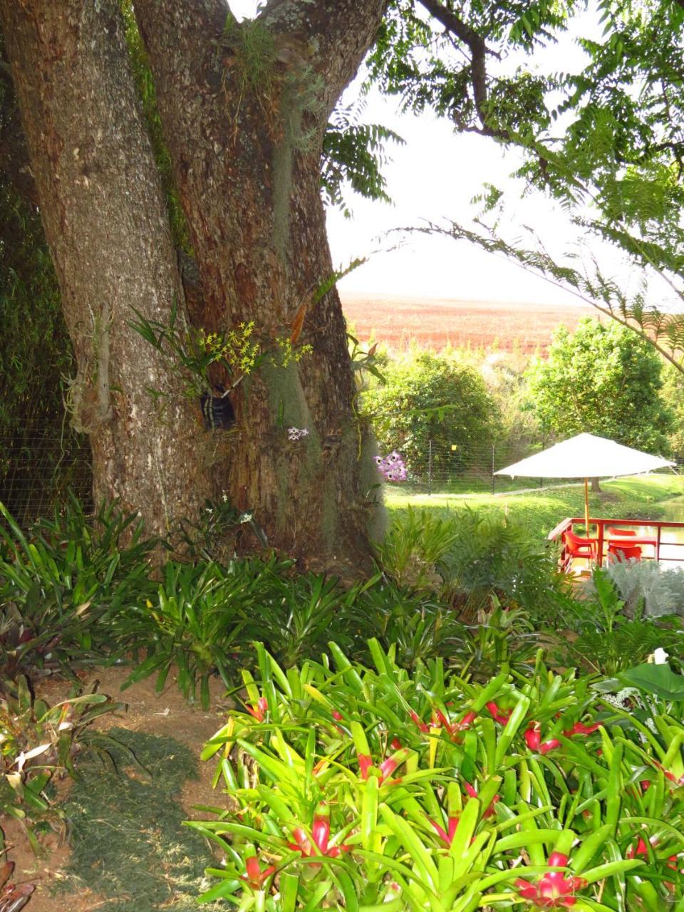 Eden Cottage وايت ريفر المظهر الخارجي الصورة